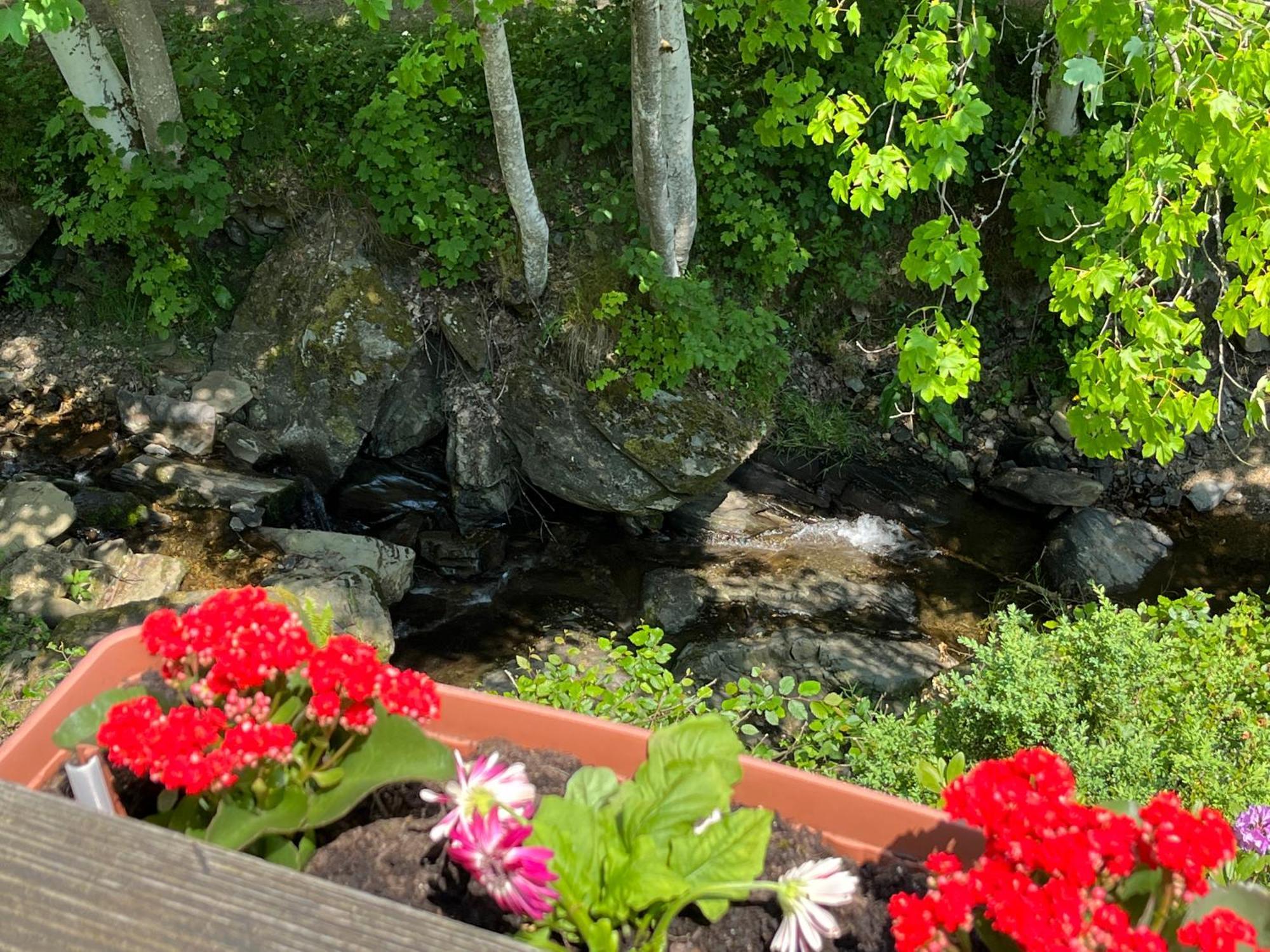 Hotel Rivendell I3 Monschau Exterior foto